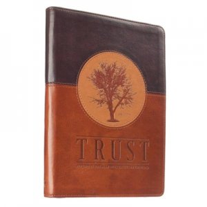 TRUST,BLESSED IS THE MAN WHO TRUSTS IN GOD