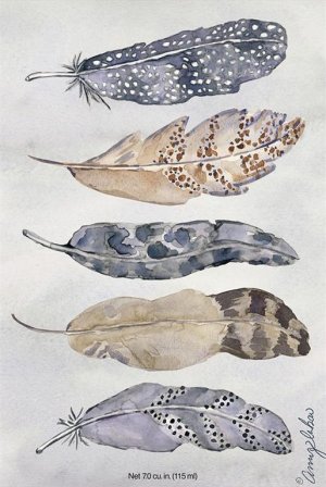 SCT - FEATHERS