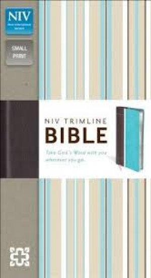 NIV Trimline Bible- TURQ/CHOCO