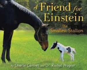 A Friend for Einstein