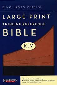 KJV-LP THINLINE REF BIBLE