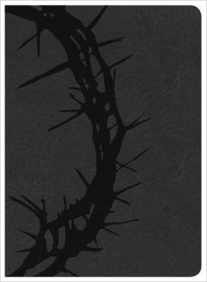 KJV Study Bible, Charcoal LeatherTouch