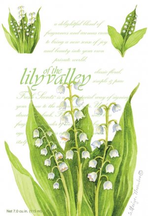 SCT - LILY OF THE VALLEY